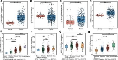 Immune-Related RNA-Binding Protein-Based Signature With Predictive and Prognostic Implications in Patients With Lung Adenocarcinoma